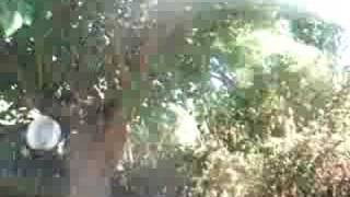 il pleut des cordes...