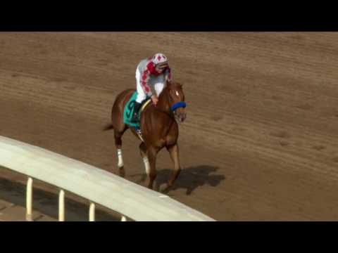 Turf Fillies Contest 2016 Honeymoon Stakes