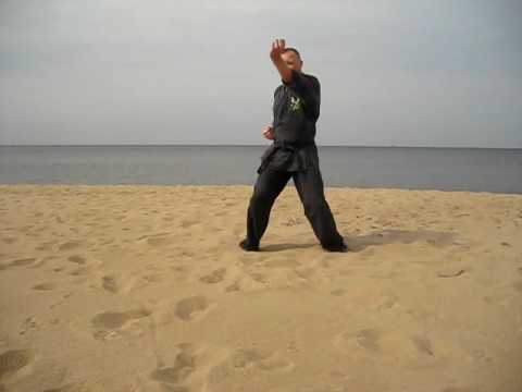 KAISHU-NO-KATA