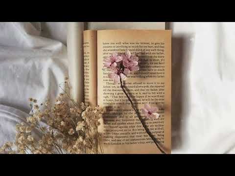 Pride and Prejudice  Chapter 23