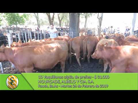 26-02-19 - Venta de Vientres - Hourcade, Albelo y Cía. S.A. - Rauch