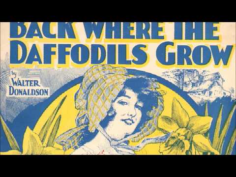 California Ramblers "Back Where The Daffodils Grow" Columbia 218-D (1924) Adrian Rollini = hot jazz