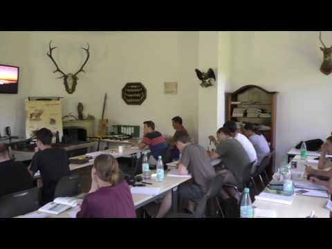 Erkennen der 3 prüfungsrelevanten Jagdhornsignale - Sommerferienkurs 2016