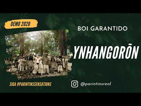 🔴 BOI GARANTIDO DEMO 2020 - YNHANGORÕN
