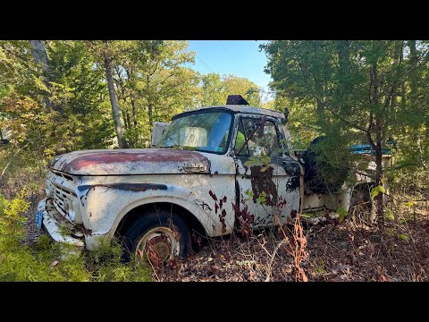 Abandoned Ford F250 Y-Block Sitting Since the 1980's - Will It RUN?