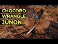 FF7 Rebirth Guide How To Find Catch The Junon Region Mountain Chocobo