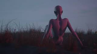 Sunsleep - New Sensations (Official Music Video)