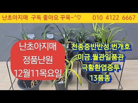 유튜브 썸네일
