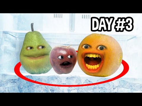 最後一個離開冰箱的人贏得100萬美金!!!