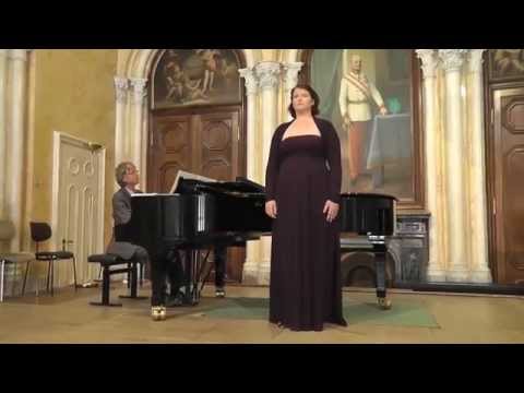 Und ob die Wolke sie verhülle - Iva Islambegovic