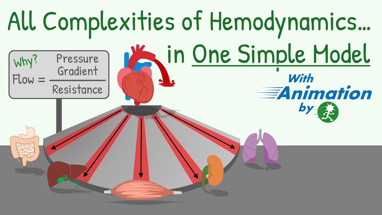 Blood Pressure, Blood Flow, Resistance and Their Relationship|| Hemodynamics