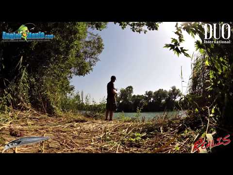 Duo Realis Jerkbait 120SP SW Limited Mullet ND DST0804