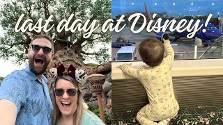Doing absolutely nothing at Animal Kingdom *and still having a MAGICAL time!* LAST DAY VLOG!