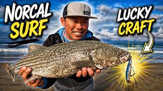 2 Days in NorCal hunting Striped Bass [Surf Fishing]
