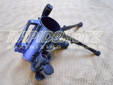 RapidShotz WildShotz - Battle Mug