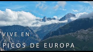 Lujo en los Picos de Europa: Apartamento La Yedra