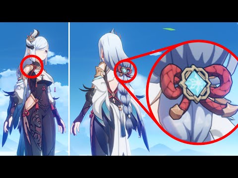 Why Only Shenhe Has This... (Genshin Impact)