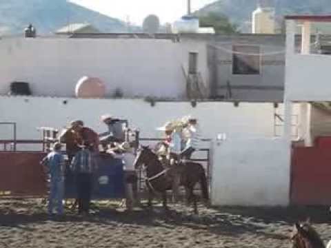 LUIS ENRIQUE RODRIGUEZ MEJORADA, JINETEO YEGUA 17 NOV. 2013