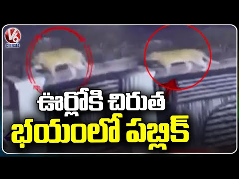 Suryanagar Residents In Fear Over Leopard Spotted Walking On Roads | Karimnagar | V6 News