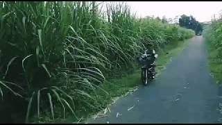 Download lagu Koe tak sayang sayang//story wa terlucu mp3 Download lagu Koe tak sayang sayang//story wa terlucu mp3