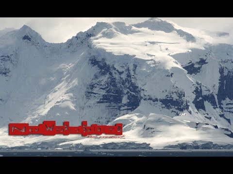 Windsurfing in the Antarctica