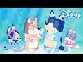 Bluey | De leukste uitjes! ✨ | Disney Channel NL