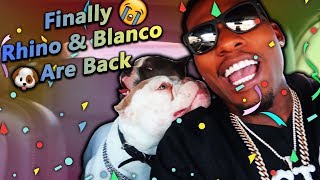 I Finally Got My Dogs Rhino &amp; Blanco Back!