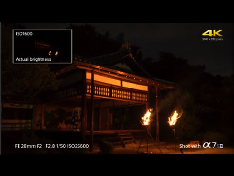 download lagu mp3 mp4 The Passion ISO, download lagu The Passion ISO gratis, unduh video klip The Passion ISO