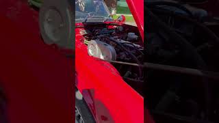 1973 Triumph TR6 Idle and Walk Around