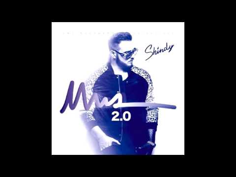 Shindy feat. Bushido & Haftbefehl - Stress mit Grund (NWA 2.0)