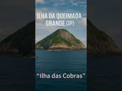 🐍 Ilha da Queimada Grande (SP) — "Ilha das Cobras"