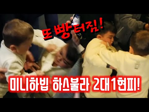 아이콘
