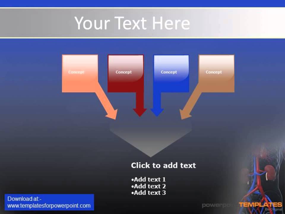 Cardiovascular system PowerPoint Template