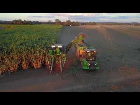 Greensill Farming -  Sugar Cane Harvesting 2019 (ft, John Deere CH570 & Ace Haulouts)