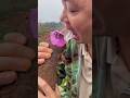 Big Sweet Potato Shorts Short Fruit China Viral Facts Cartoon