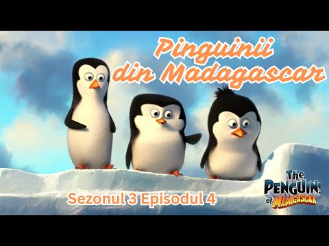 Pinguinii in Madagascar - Sezonul 3 Episodul 4
