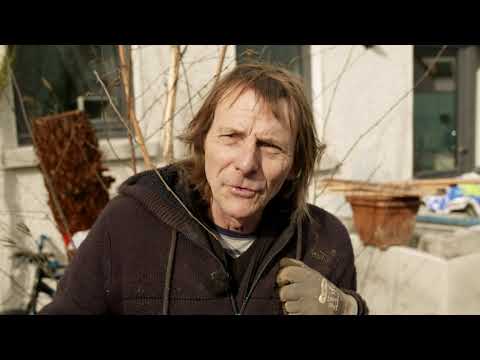 Supergarden 2020 Episode 4 Fran Preview Dulux Exteriors