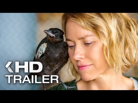 Trailer-Vorschau: Beflügelt – Ein Vogel namens Penguin Bloom
