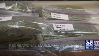 West Springfield Mayor William Reichelt continues push for recreational marijuana industry
