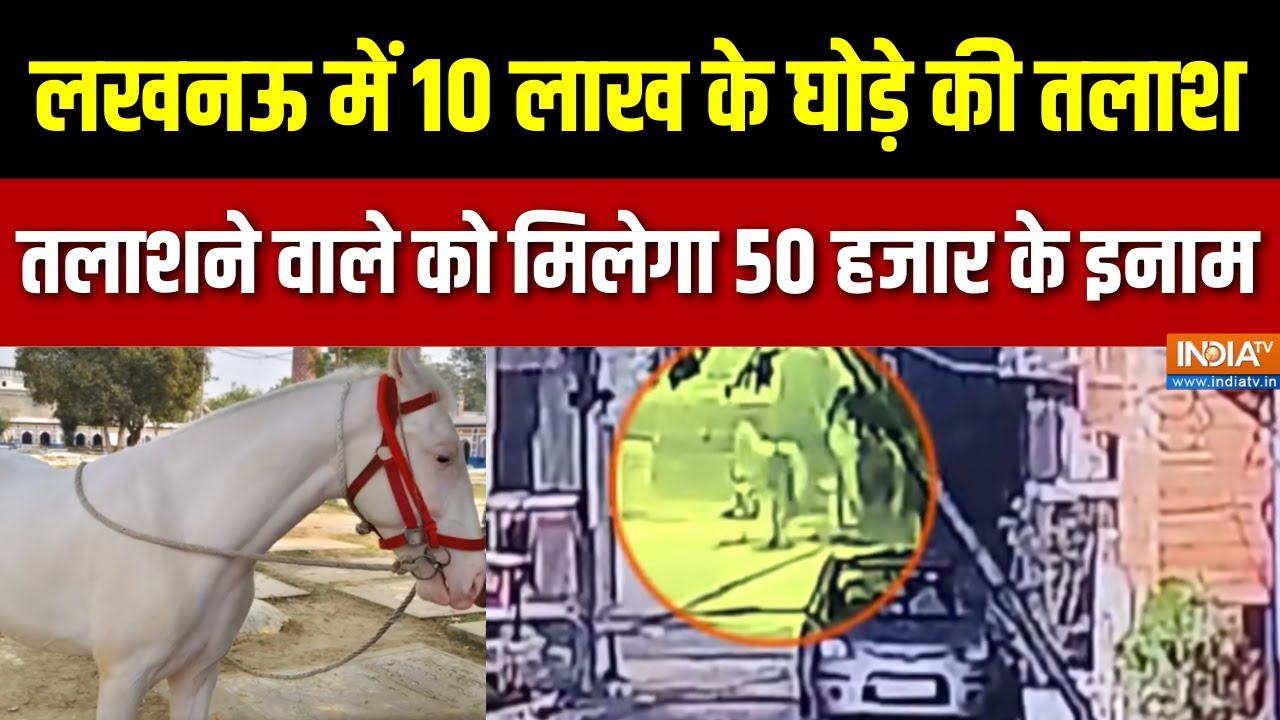 Prahar: लखनऊ में 10 लाख के घोड़े की तलाश तलाशने वाले को मिले?
