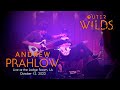 Andrew Prahlow & co. performing Outer Wilds LIVE at the Lodge Room, LA │ Oct 13, 2022