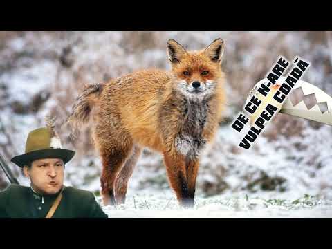 DE CE N-ARE VULPEA COADĂ cu Dem Rădulescu, Ștefan M.-Brăila🎭 Teatru Radiofonic Subtitrat