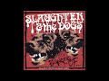 09 ◦ Slaughter & The Dogs - Schizophrenic