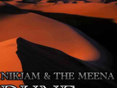 Nikjam and the Meena - Epic Pride (Ades Vapor Remix) - Atomic Zoo Recordings