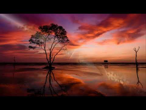 Thể hiện bởi Cẩm Vân