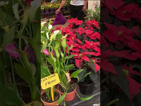 Villa de las Rosas Córdoba Argentina  #cordoba #turismo #argentina