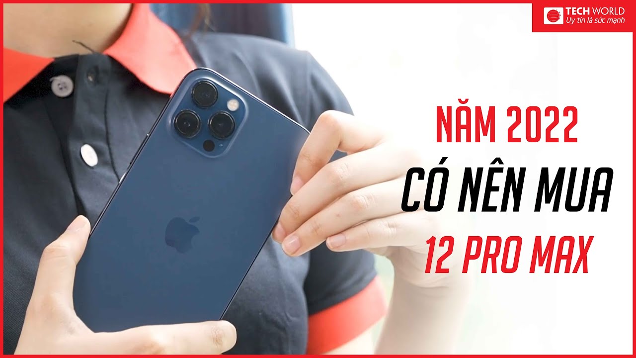 iPhone 12 Pro Max Quốc tế 256GB - 99% A+