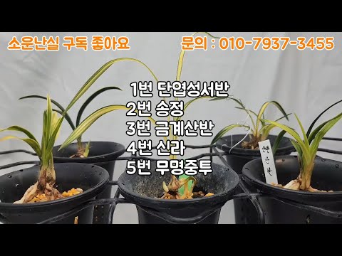 유튜브 썸네일