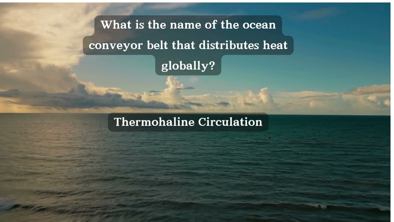 OCEAN CURRENTS QUIZ