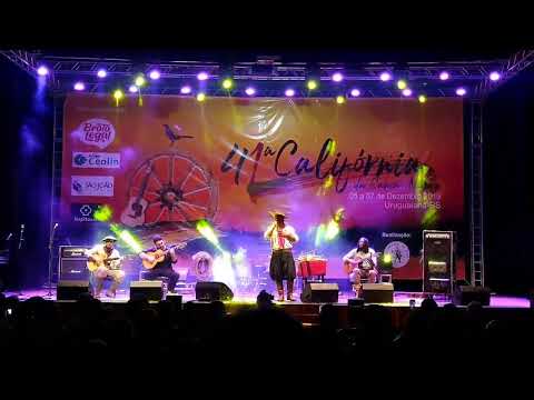 Leilão De Aperos - Nilton Ferreira